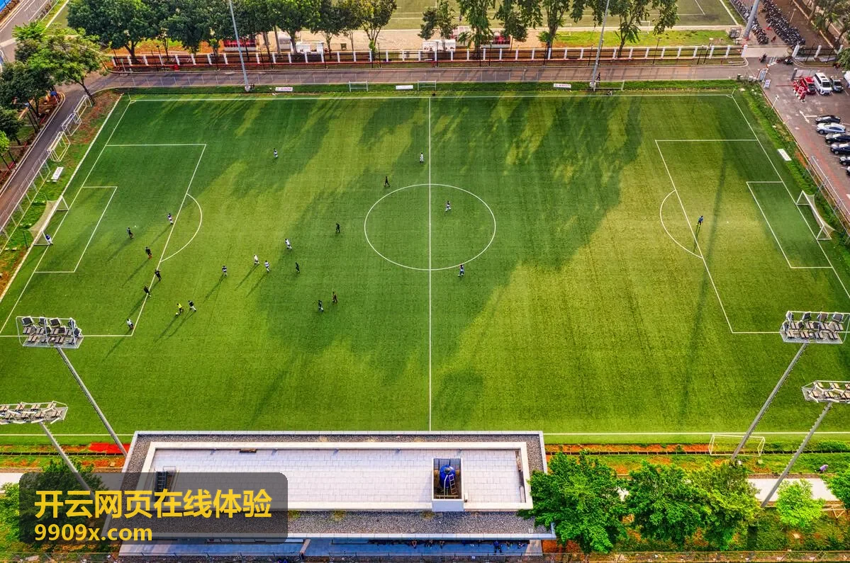 设计工作室使用开云网页在线体验为外协成员临时授权