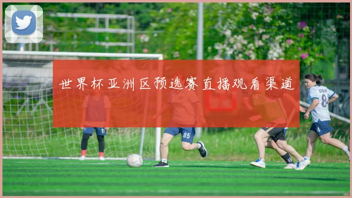 世界杯亚洲区预选赛直播观看渠道