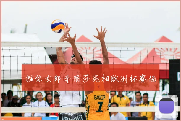 推你女郎李丽莎亮相欧洲杯赛场