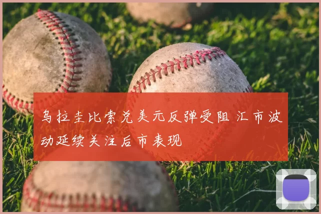 乌拉圭比索兑美元反弹受阻 汇市波动延续关注后市表现