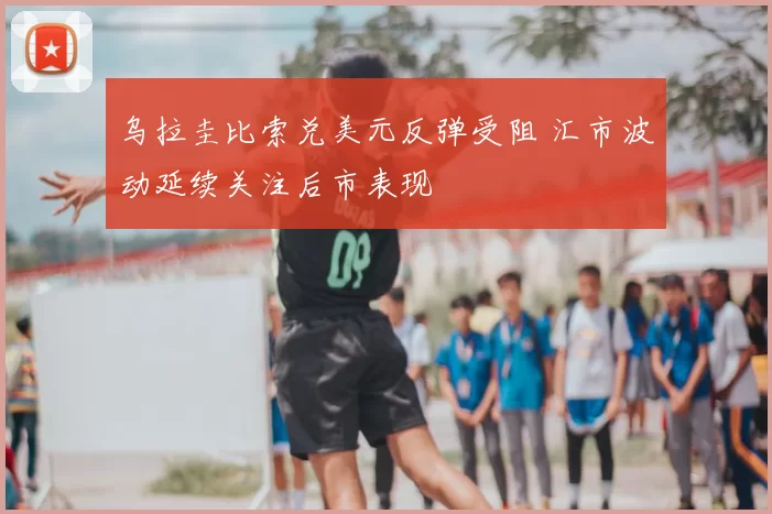 乌拉圭比索兑美元反弹受阻 汇市波动延续关注后市表现