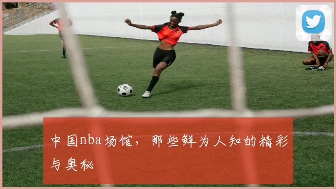 中国nba场馆，那些鲜为人知的精彩与奥秘