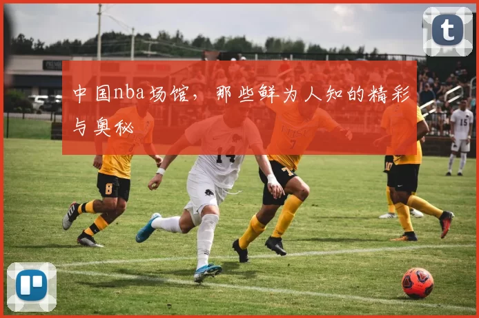 中国nba场馆，那些鲜为人知的精彩与奥秘